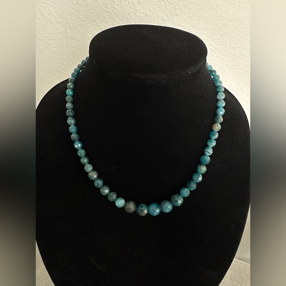 Jay King Jewelry - Faceted Apatite bead Necklace by Jay King